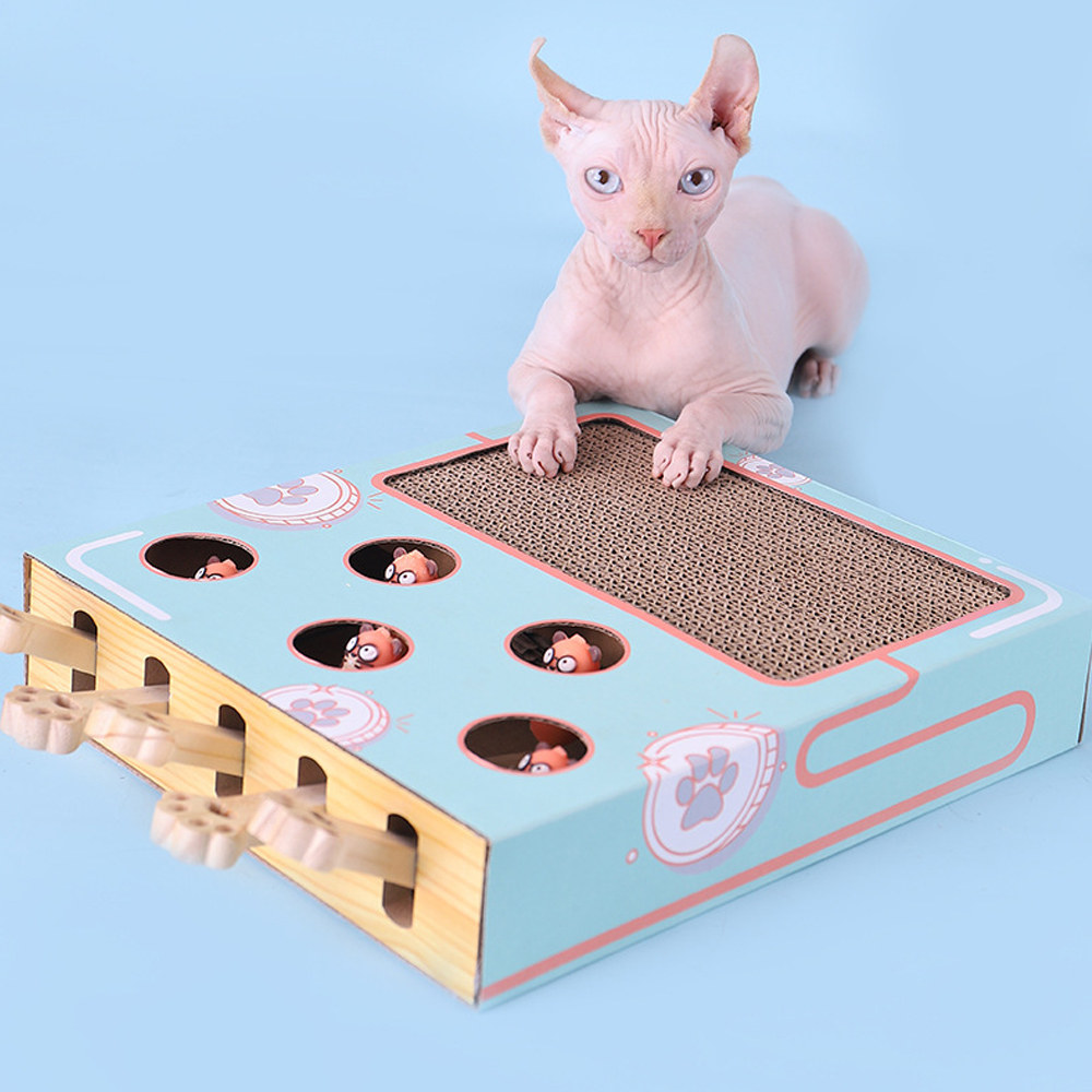 Kids Education Things - Cat Game Box Maze Interactive Educational