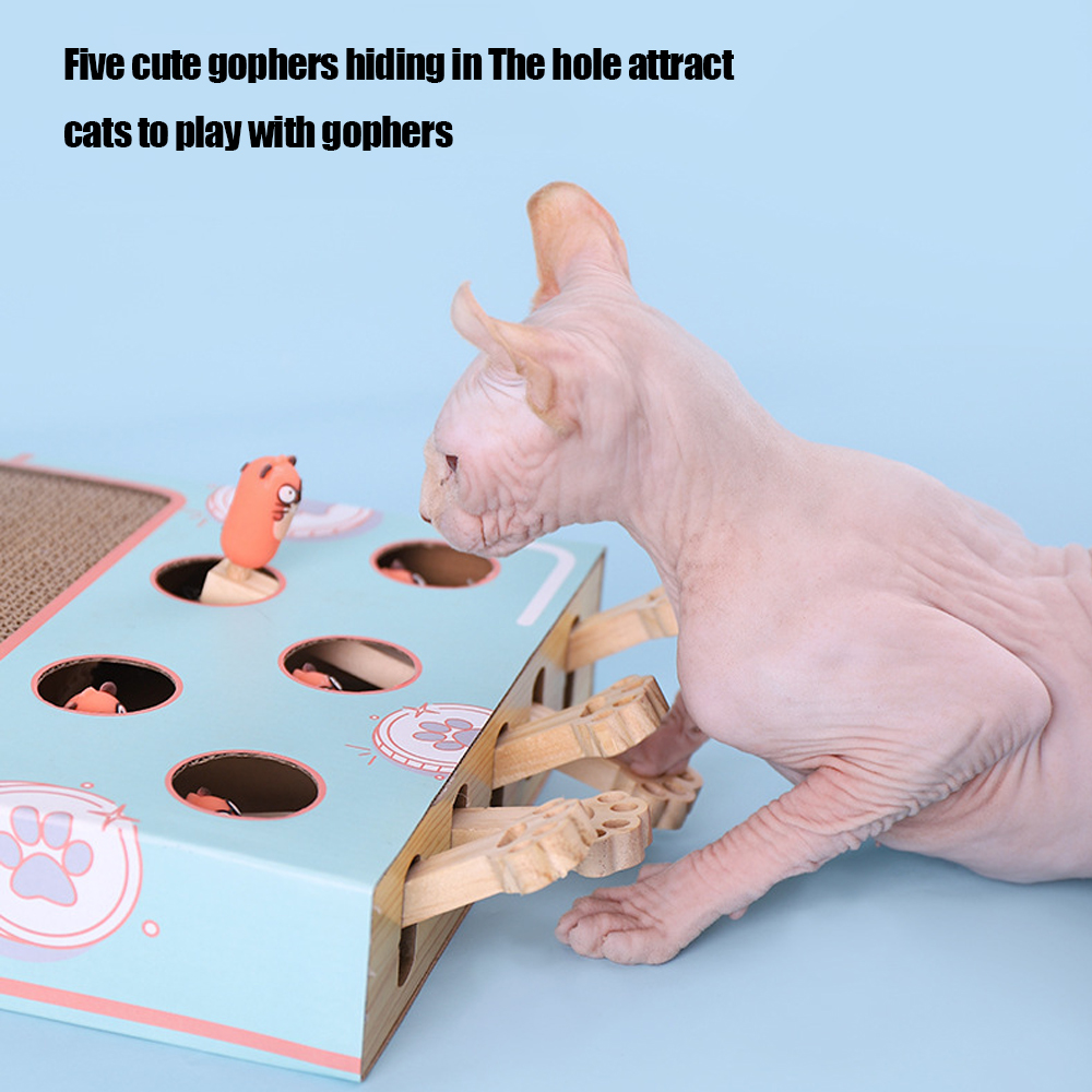 Cat Game Box Maze Interactive  – Kids Education Things recenzja i cena